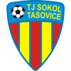 Sokol Tašovice logo