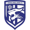 Wuhan Three Towns (B) logo